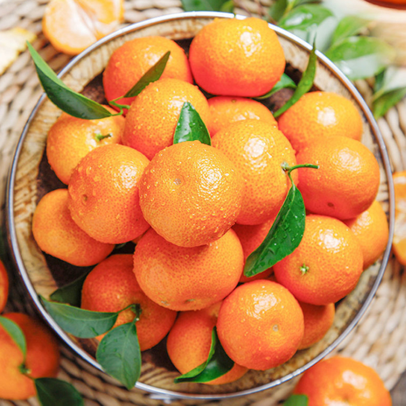 芝士无限丨让知识多一种可能