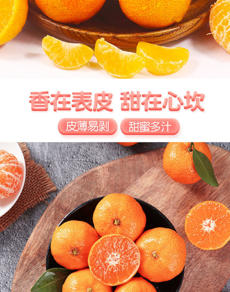 图片[2]-新鲜广西砂糖橘水果-芝士无限