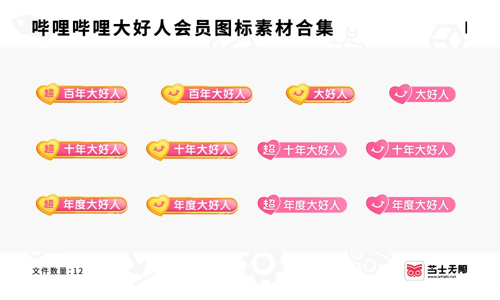 bilibili 哔哩哔哩大好人会员图标素材合集下载透明底 PNG 格式-芝士无限
