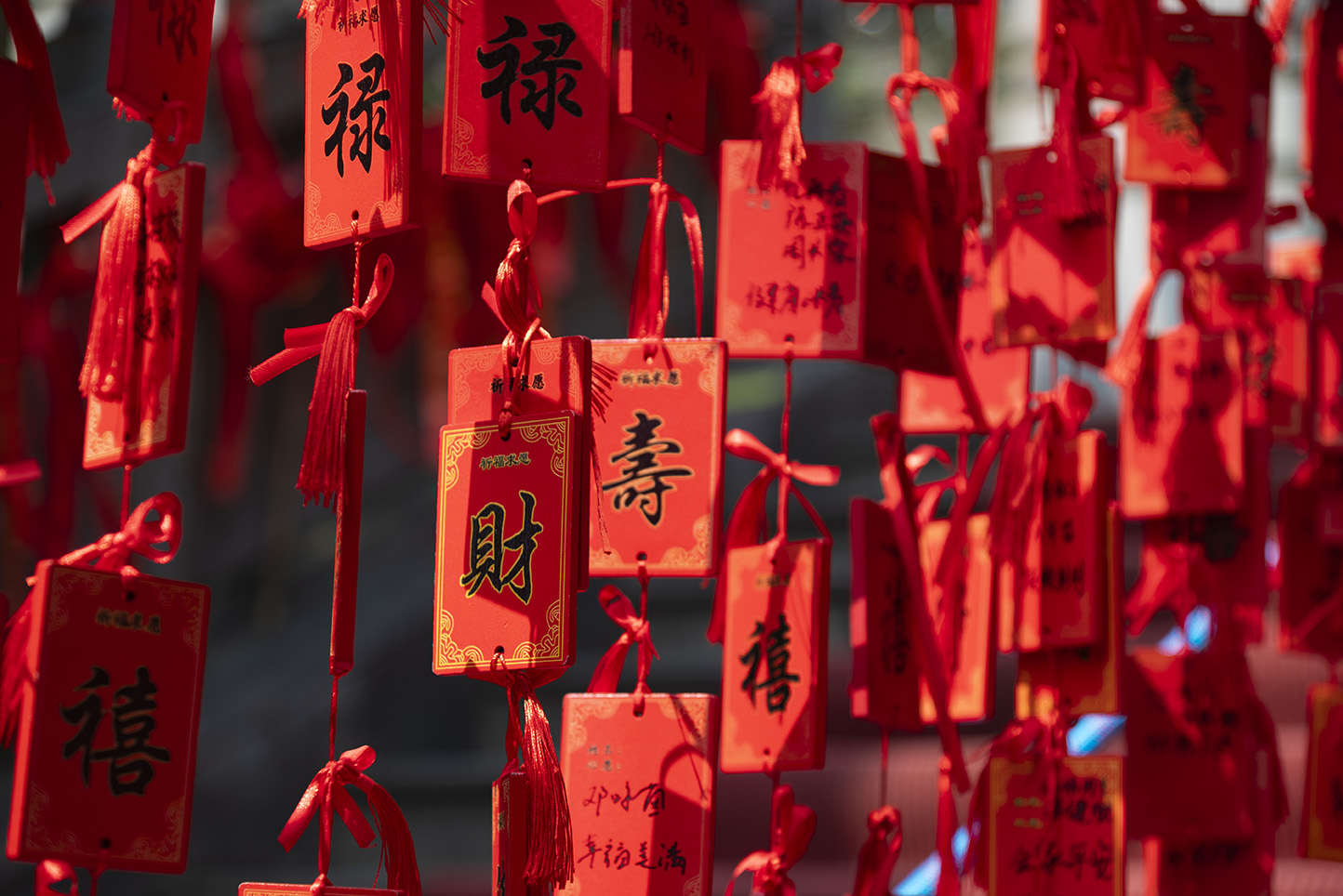 图片[4]-摄影集・藏在镜头里的自然与人间 - 原创作品 商用授权-芝士无限