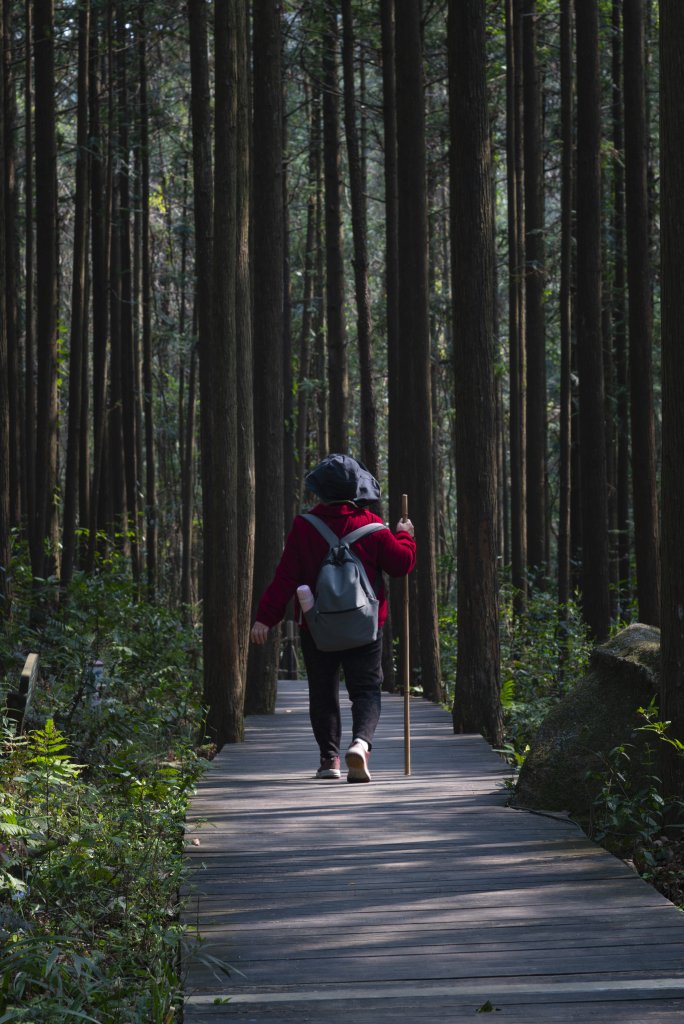 图片[5]-摄影集・藏在镜头里的自然与人间 - 原创作品 商用授权-芝士无限