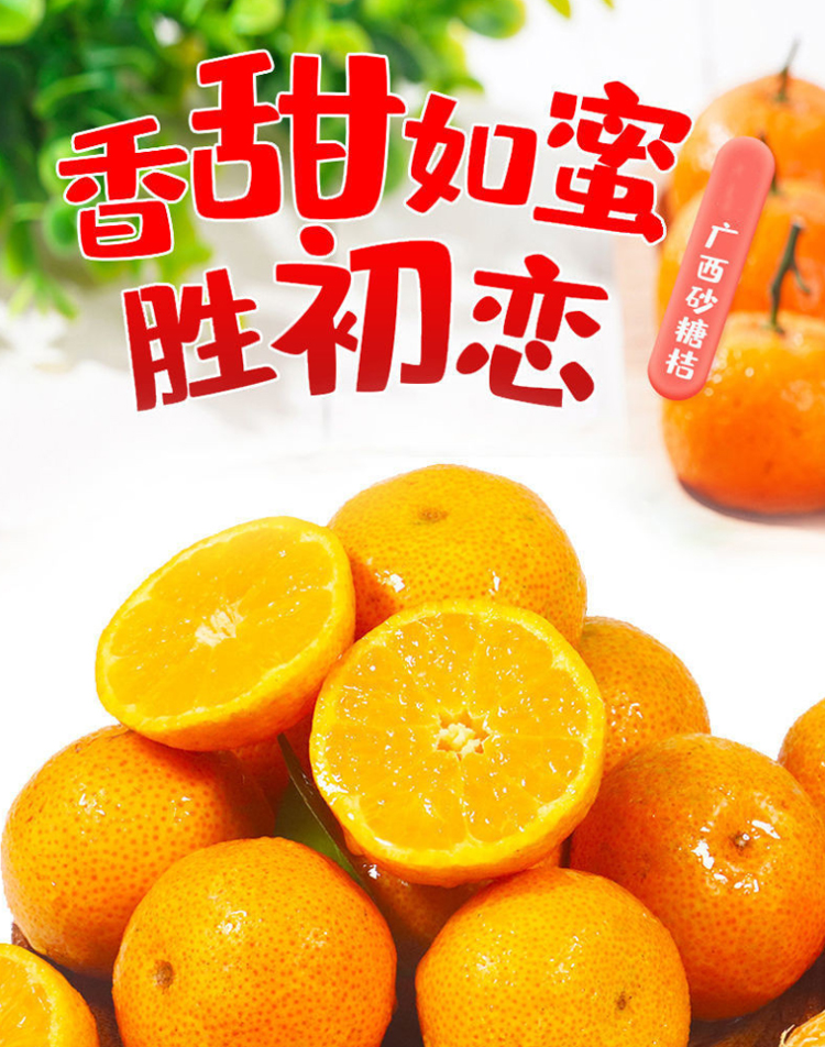 图片[1]-新鲜广西砂糖橘水果-芝士无限