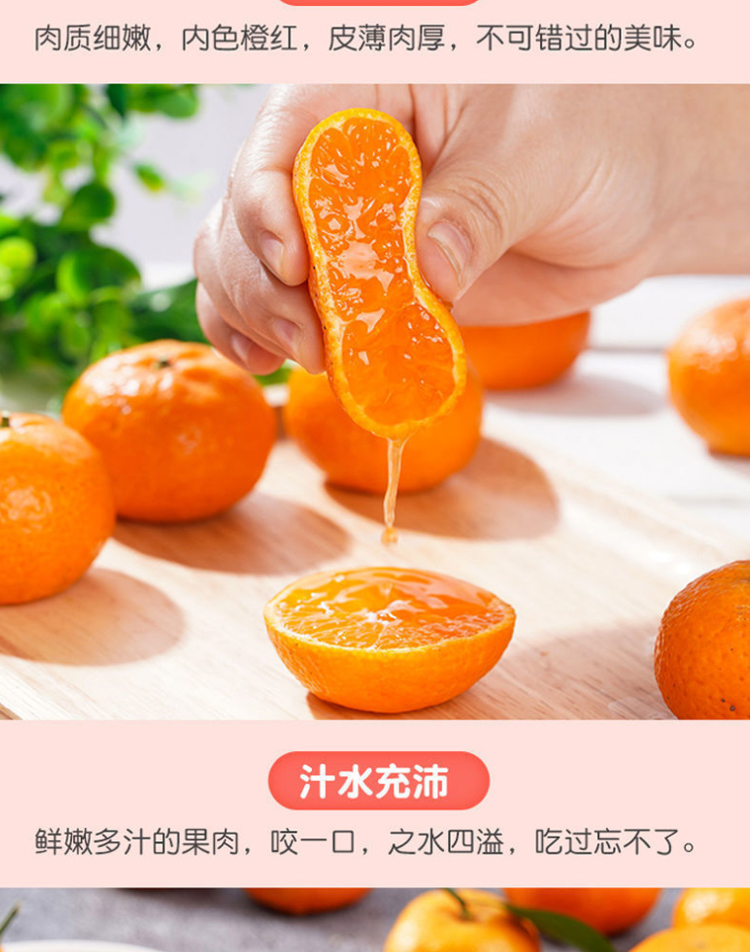 图片[4]-新鲜广西砂糖橘水果-芝士无限