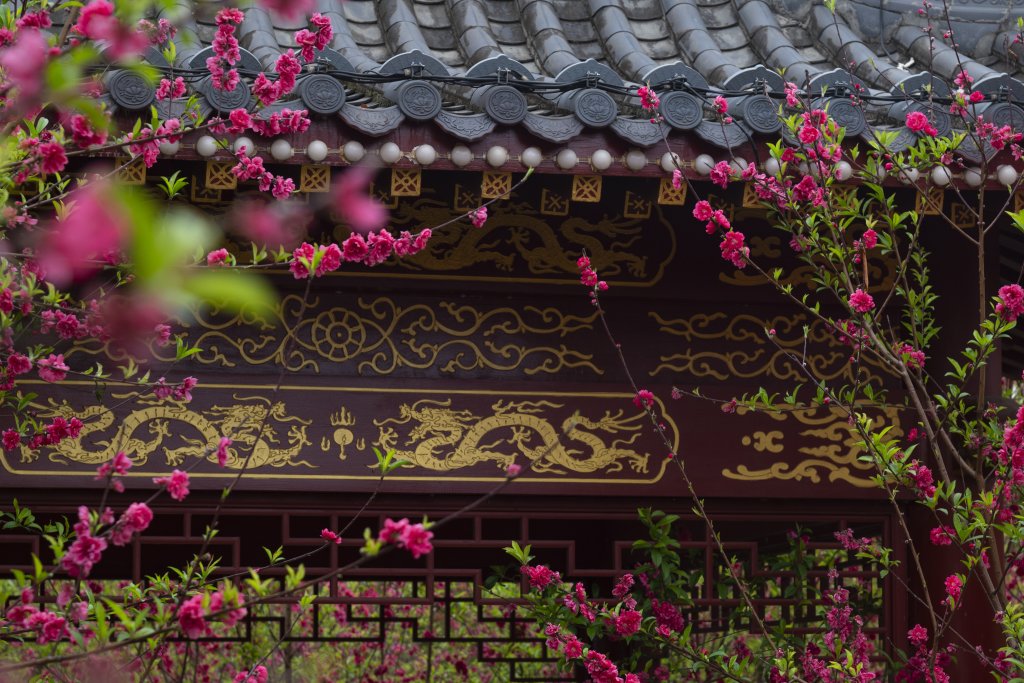 图片[3]-摄影集・藏在镜头里的自然与人间 - 原创作品 商用授权-芝士无限