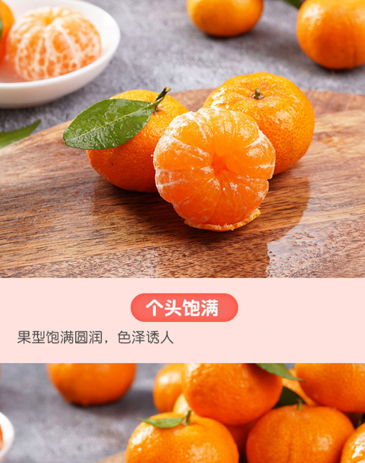 图片[5]-新鲜广西砂糖橘水果-芝士无限