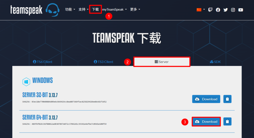 图片[3]-TeamSpeak3 团队语音交流服务器搭建教程 Windows Server-芝士无限