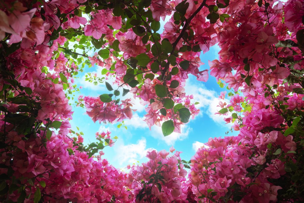 图片[6]-摄影集・藏在镜头里的自然与人间 - 原创作品 商用授权-芝士无限