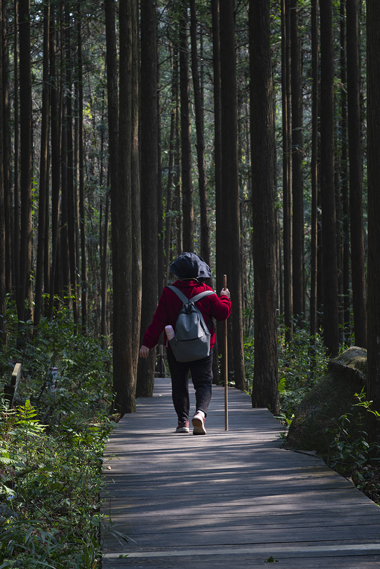 图片[5]-摄影集・藏在镜头里的自然与人间 - 原创作品 商用授权-芝士无限