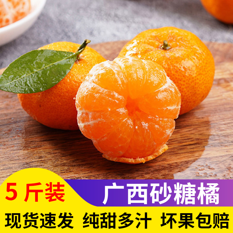 新鲜广西砂糖橘水果-芝士无限